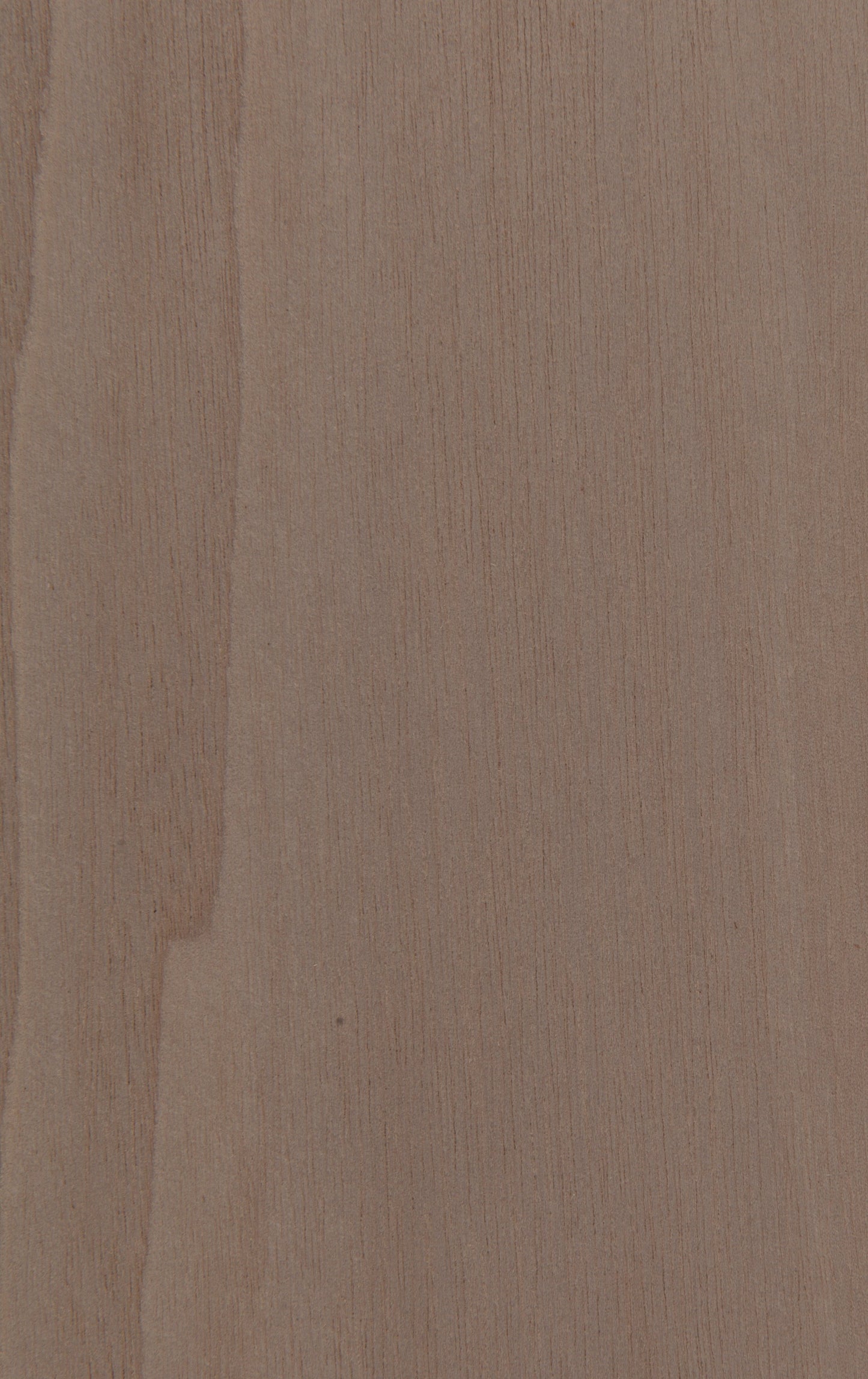 51.195, American Walnut