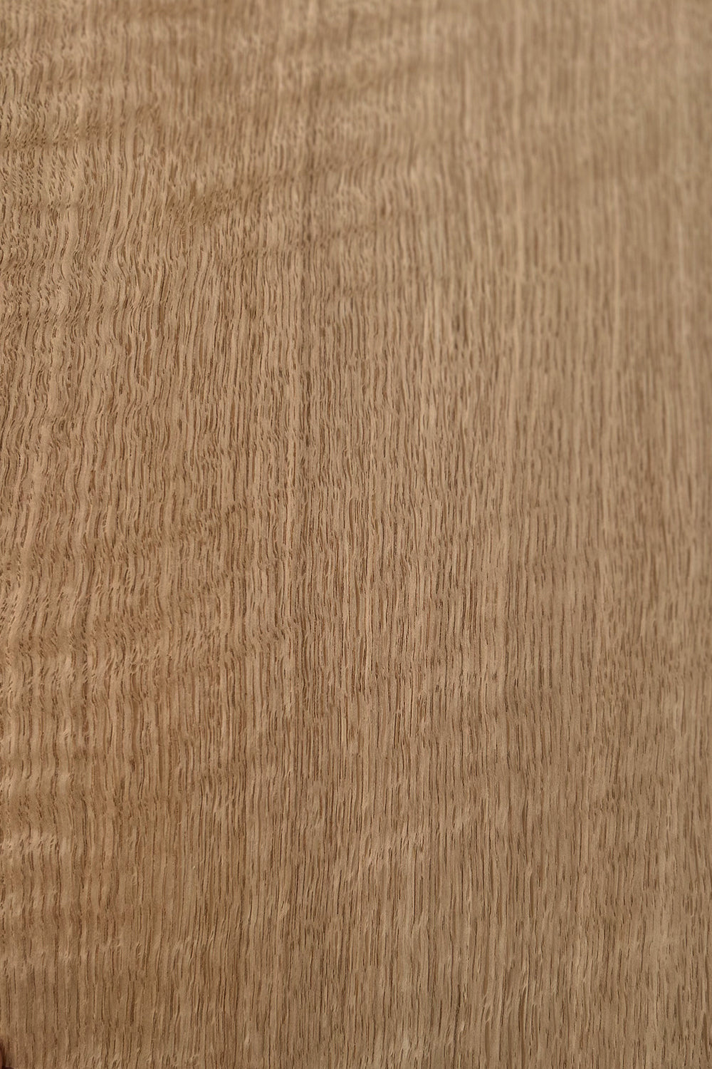Oak European Figured