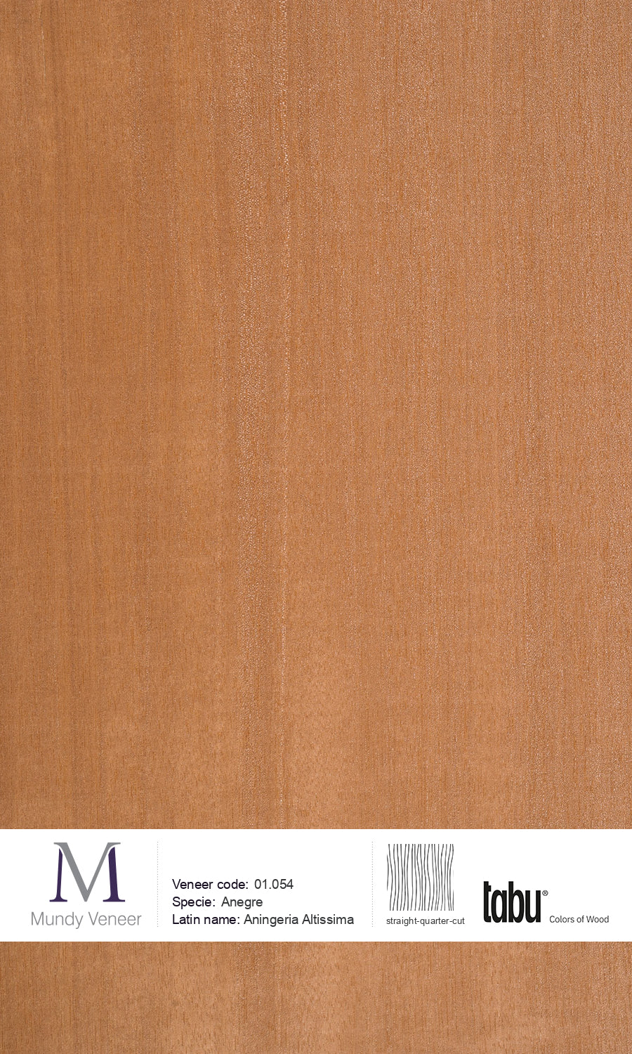 aningeria altissima 01.054, Anegre Wood Veneer | Natural Dyed Premium Veneer