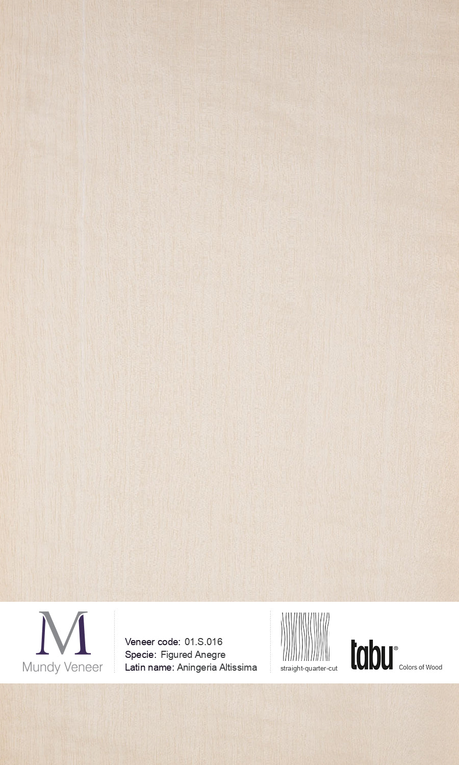 01.S.016, Figured Anegre