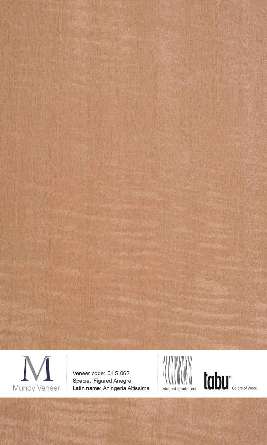 01.S.062, Figured Anegre