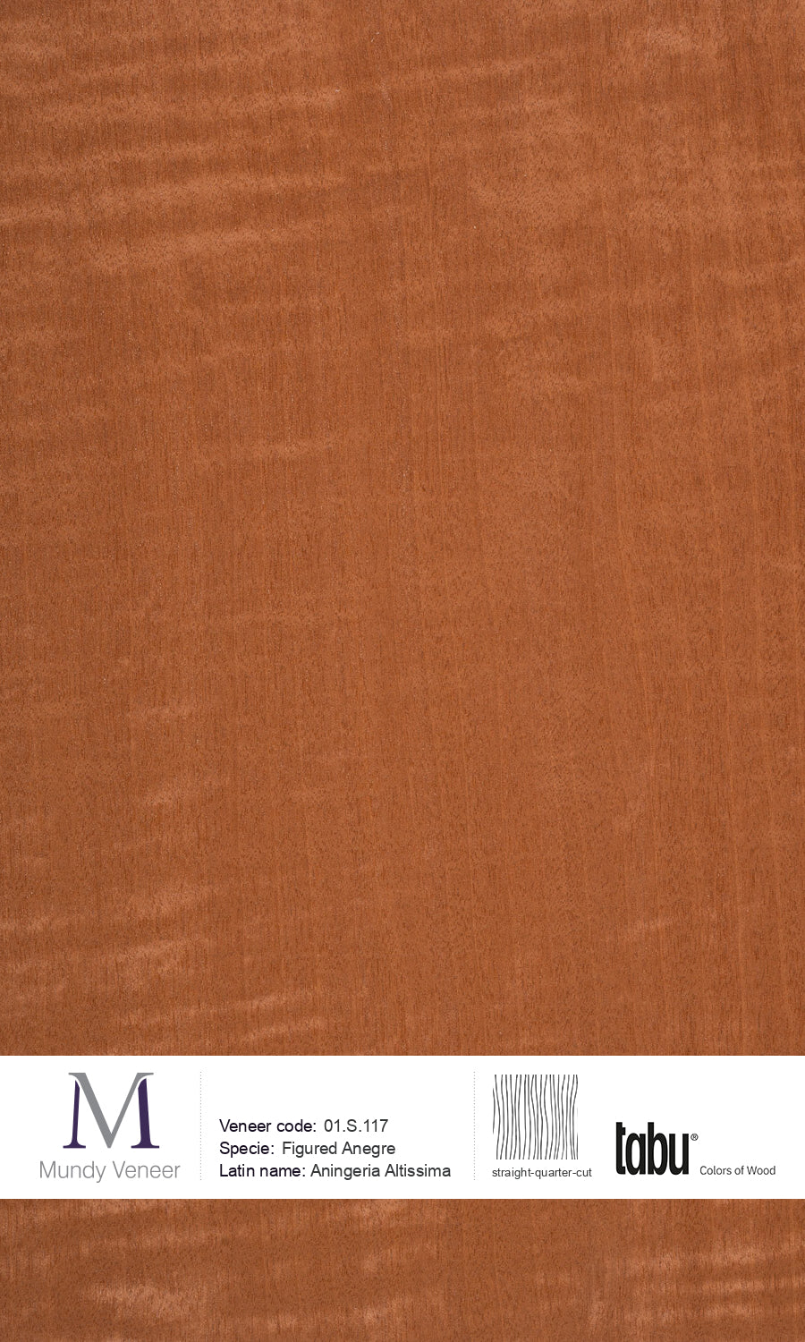 01.S.117, Figured Anegre