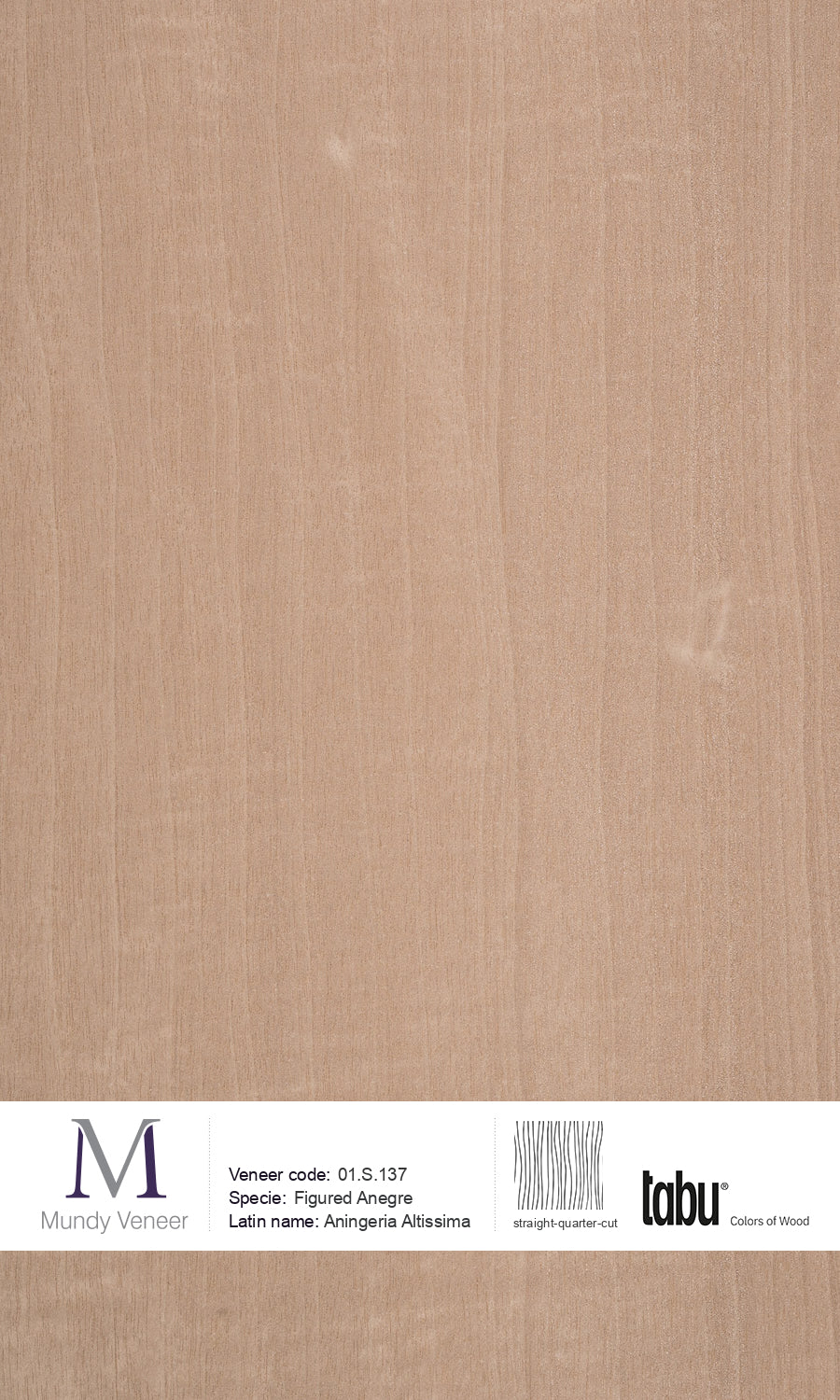 01.S.137, Figured Anegre