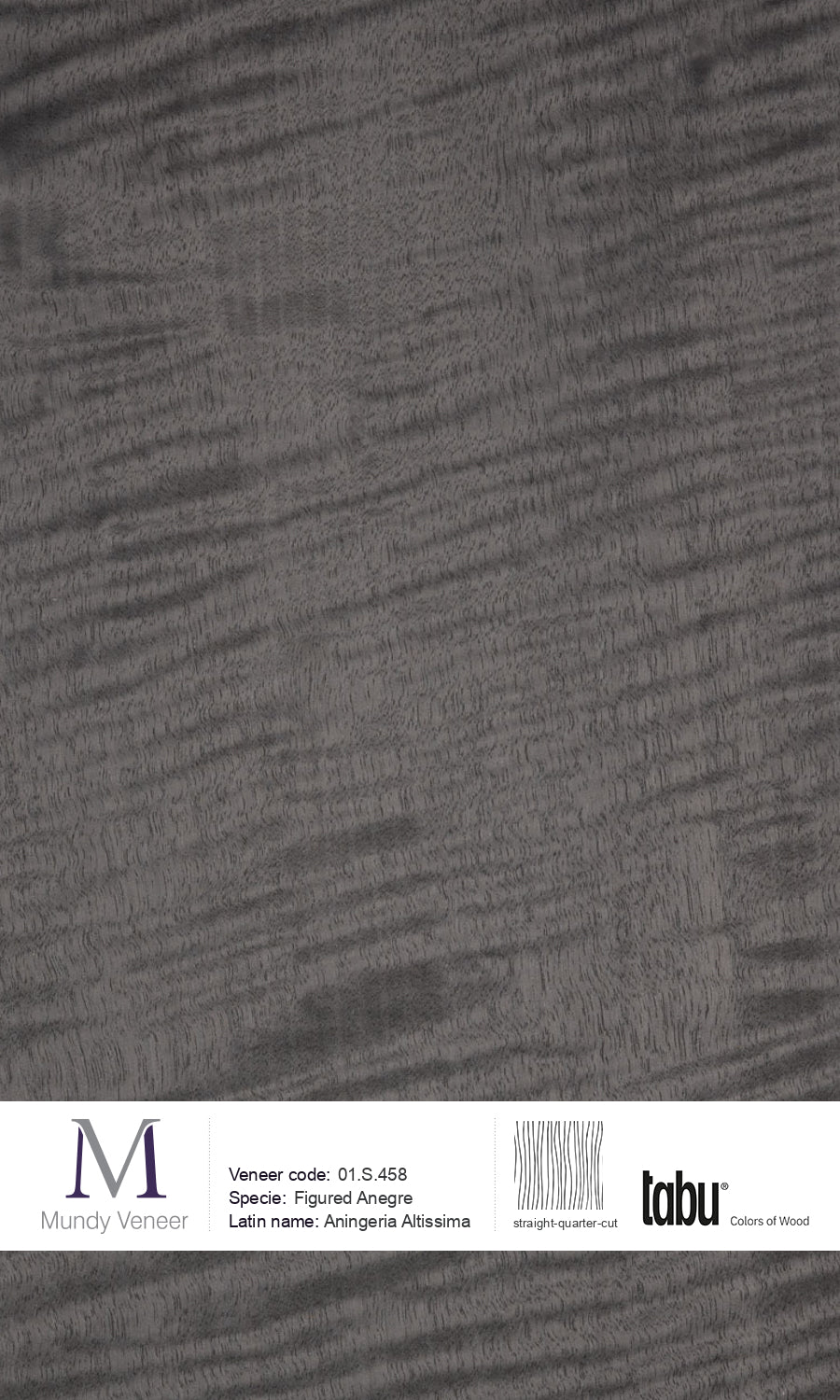 01.S.458, Figured Anegre