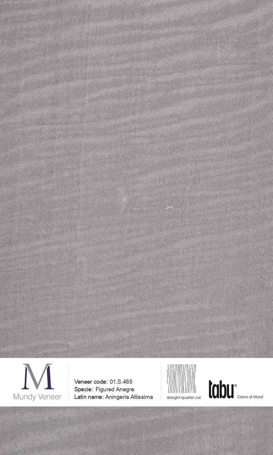 01.S.465, Figured Anegre