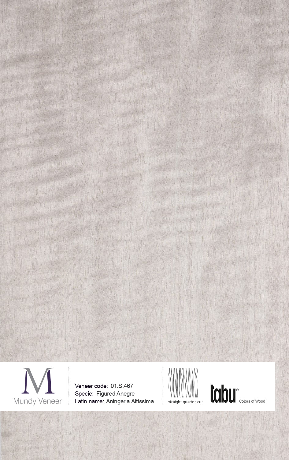 01.S.467, Figured Anegre