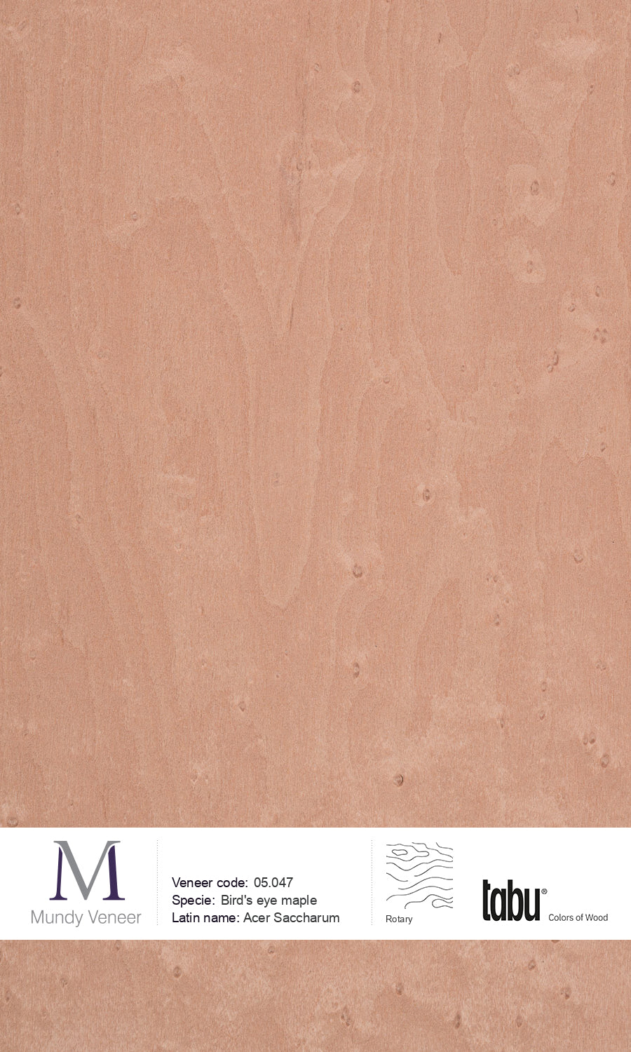 05.047, Bird’s Eye Maple