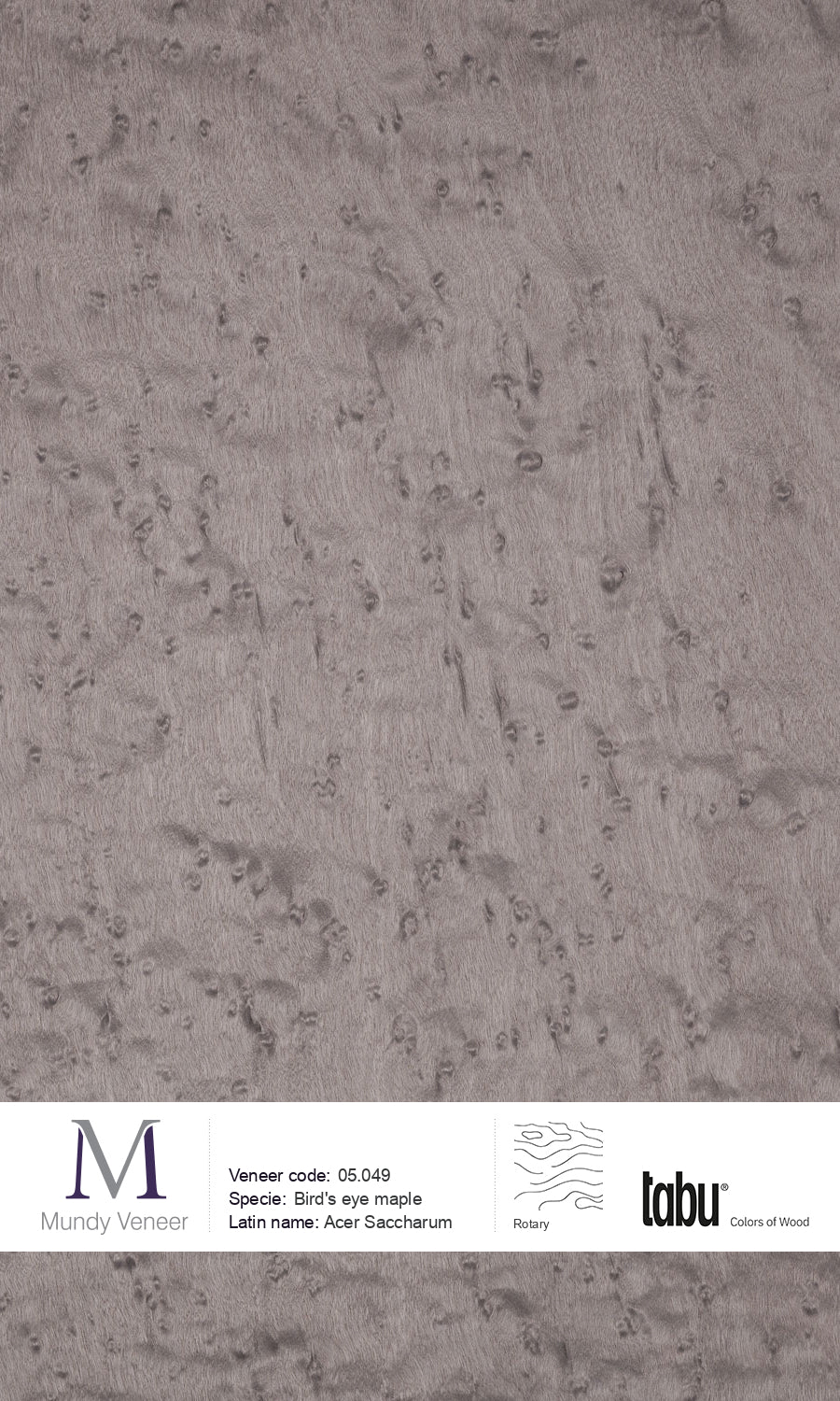 05.049, Bird’s Eye Maple