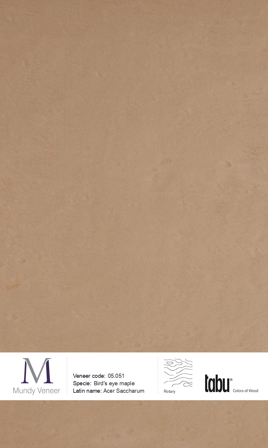 05.051, Bird’s Eye Maple