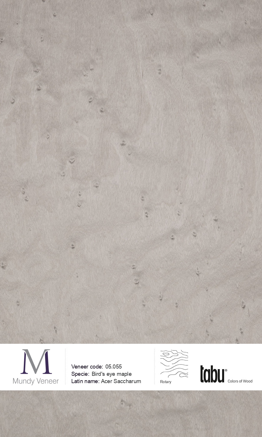 05.055, Bird’s Eye Maple