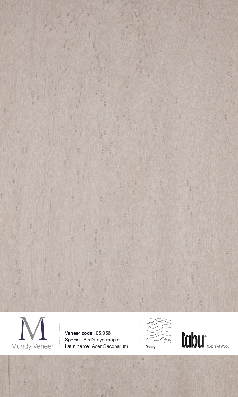 05.056, Bird’s Eye Maple
