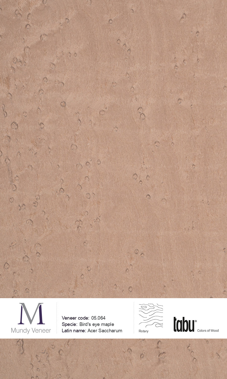 05.064, Bird’s Eye Maple