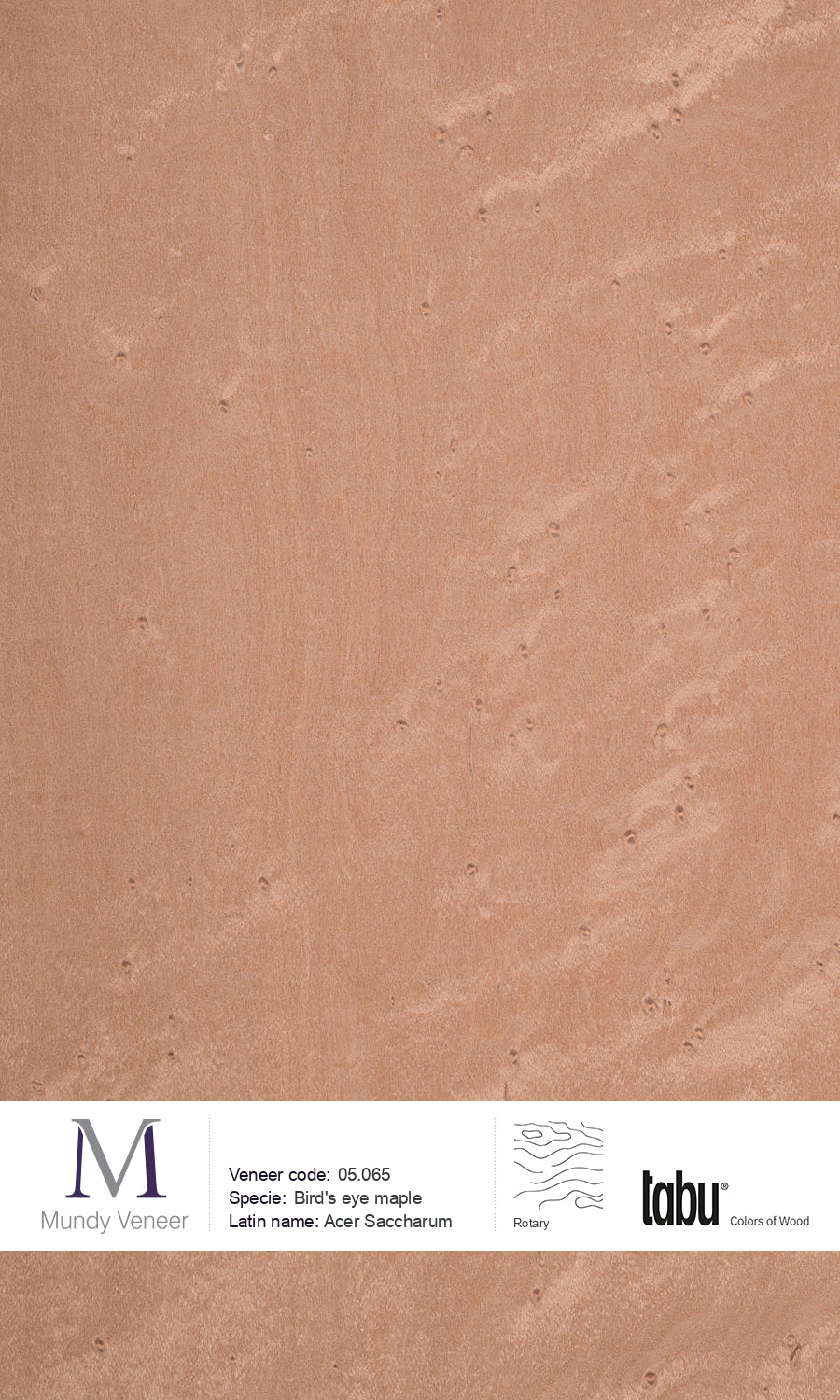 05.065, Bird’s Eye Maple