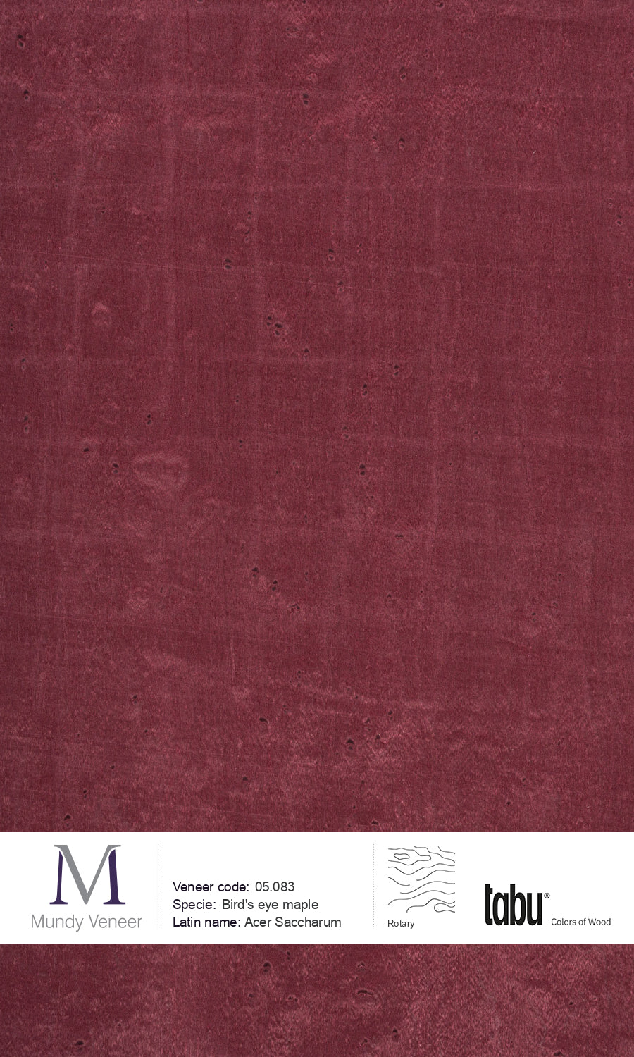 05.083, Bird’s Eye Maple