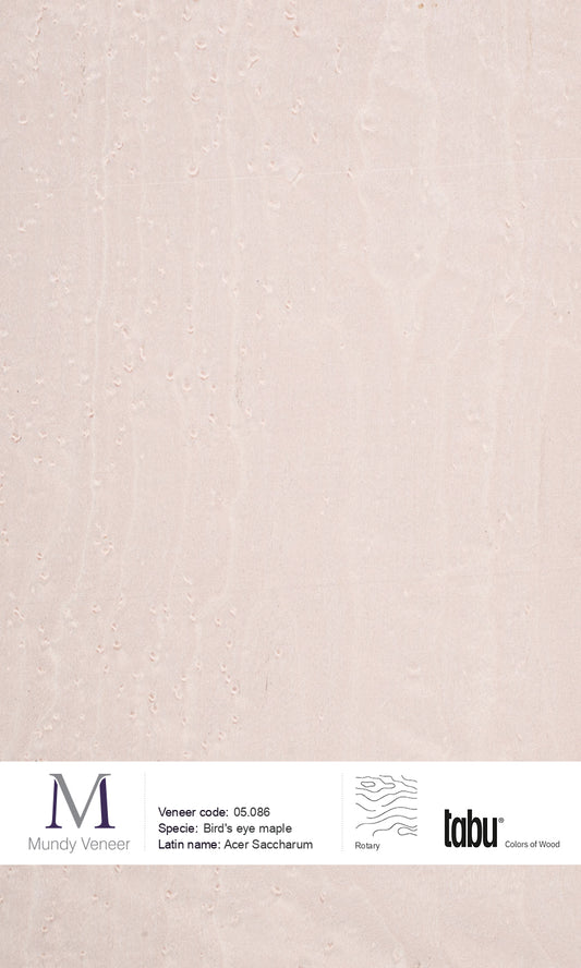 05.086, Bird’s Eye Maple