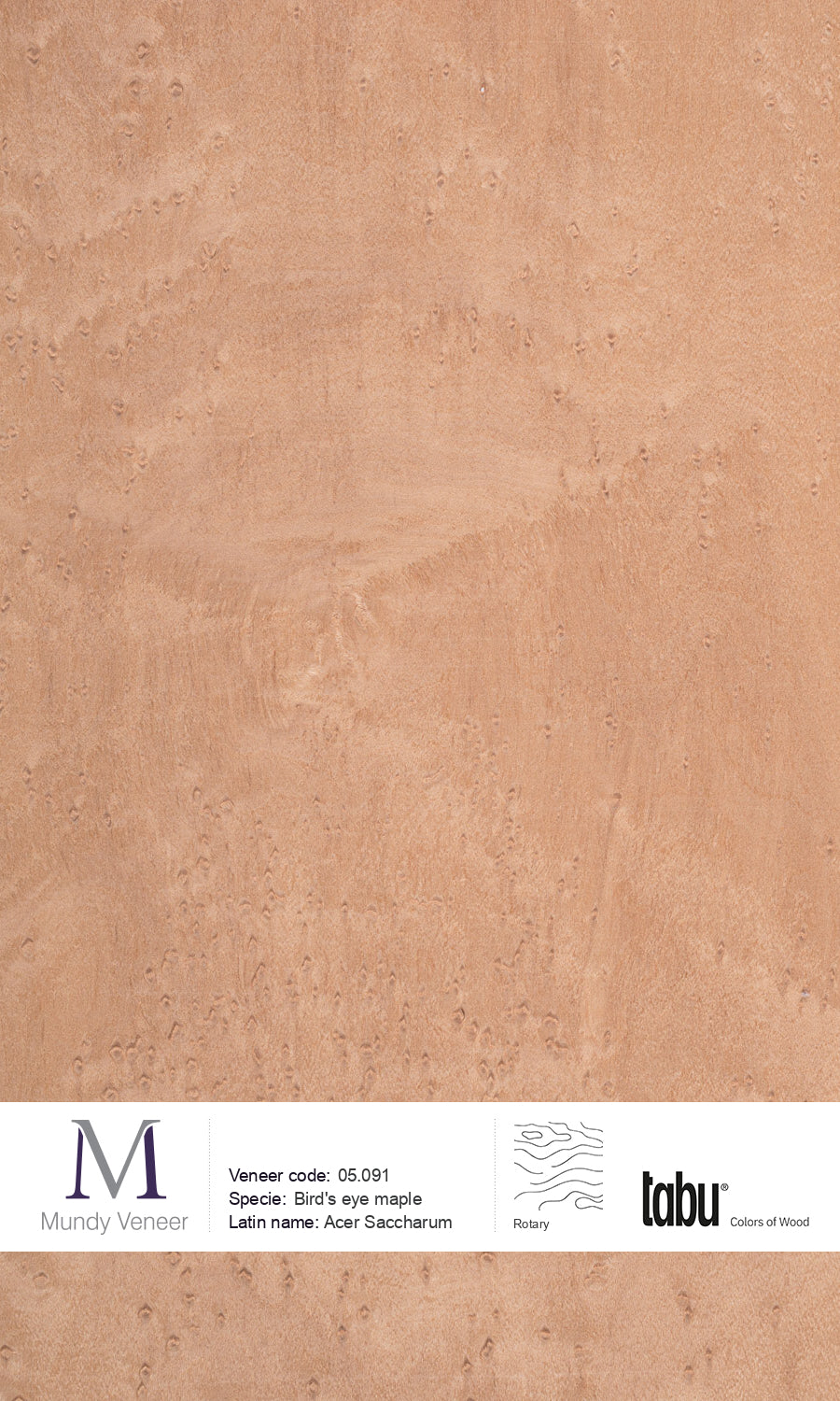 05.091, Bird’s Eye Maple