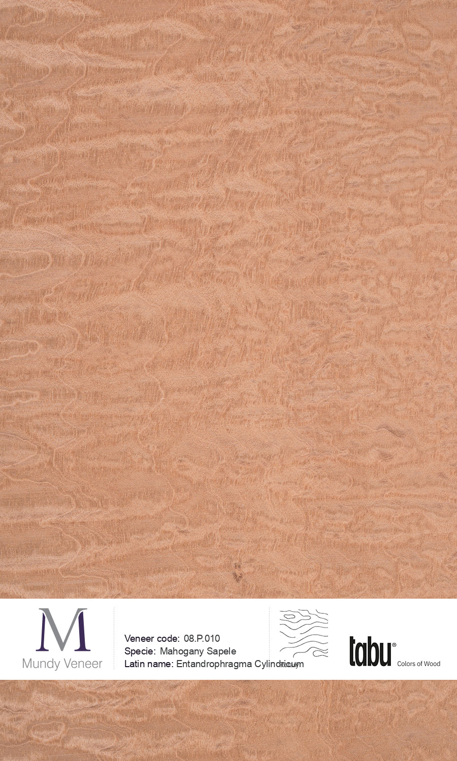 08.P.010, Mahogany Sapele