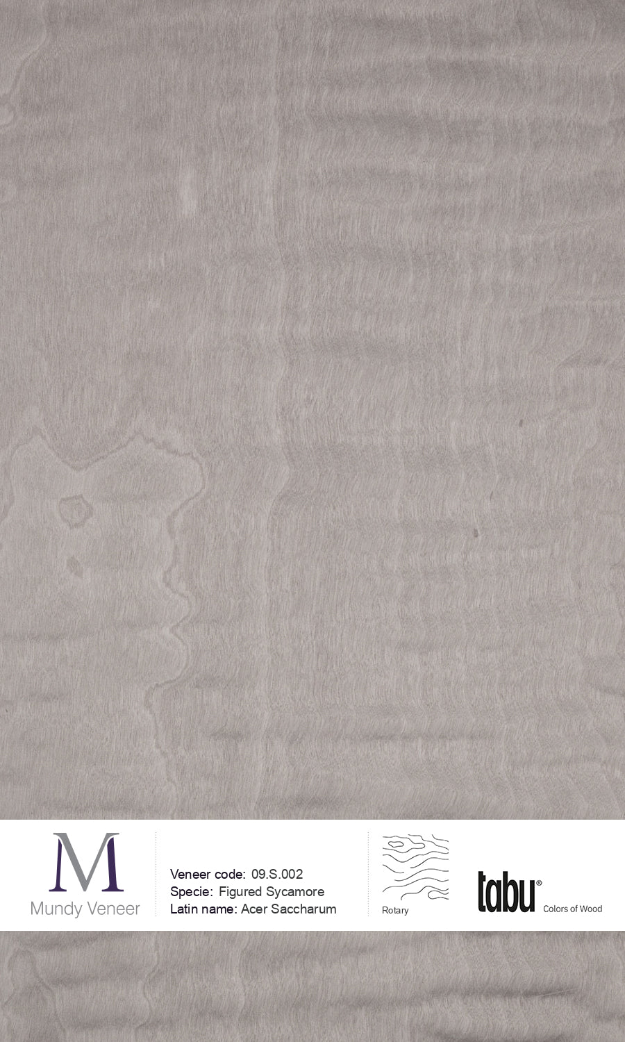 09.S.002, Figured Sycamore