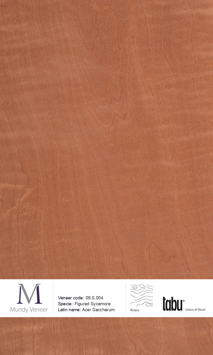 09.S.004, Figured Sycamore