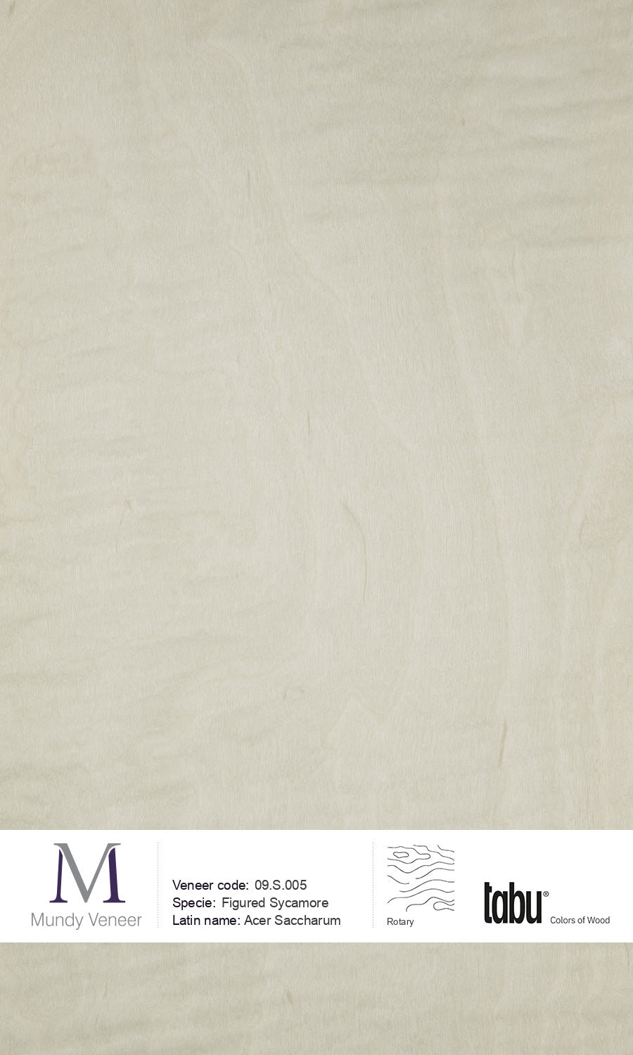 09.S.005, Figured Sycamore