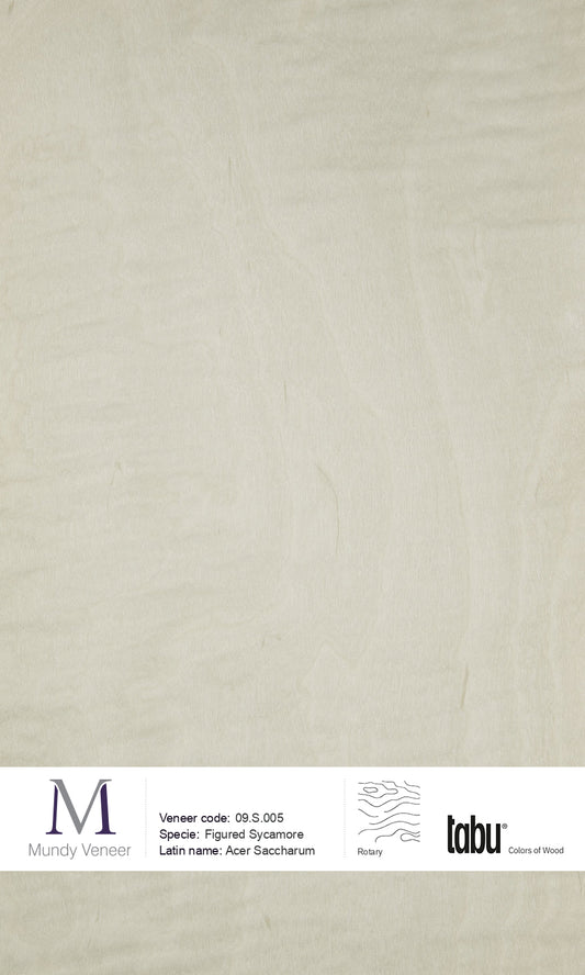 09.S.005, Figured Sycamore