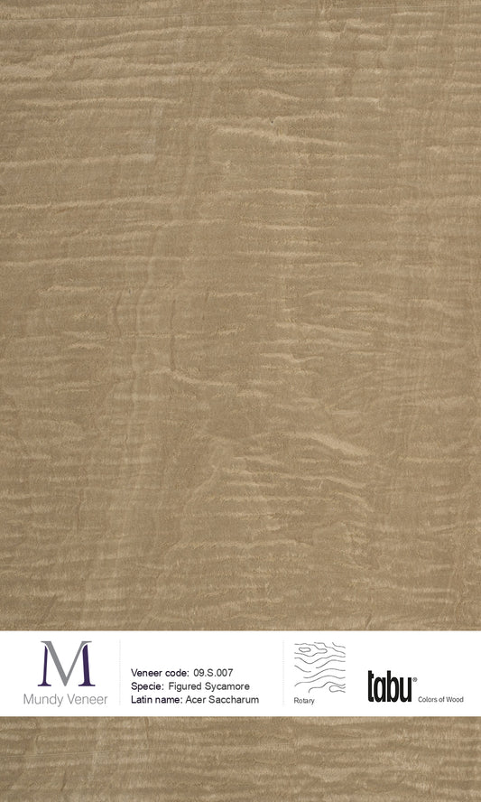 09.S.007, Figured Sycamore