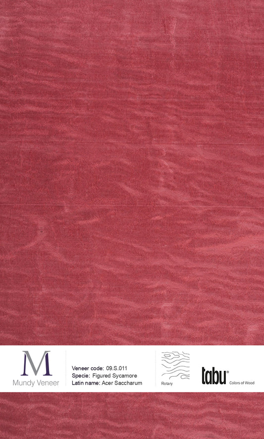 09.S.011, Figured Sycamore