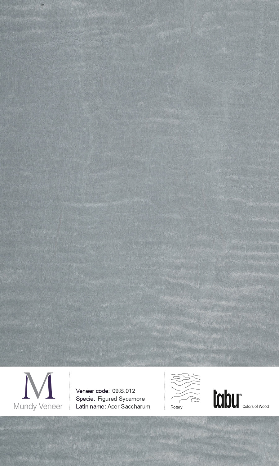 09.S.012, Figured Sycamore