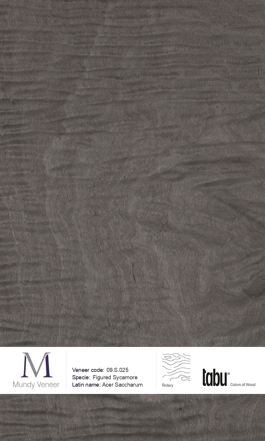09.S.025, Figured Sycamore