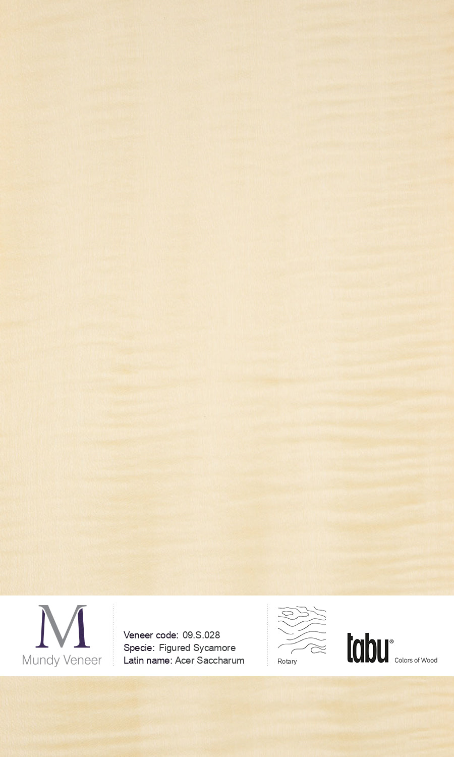 09.S.028, Figured Sycamore