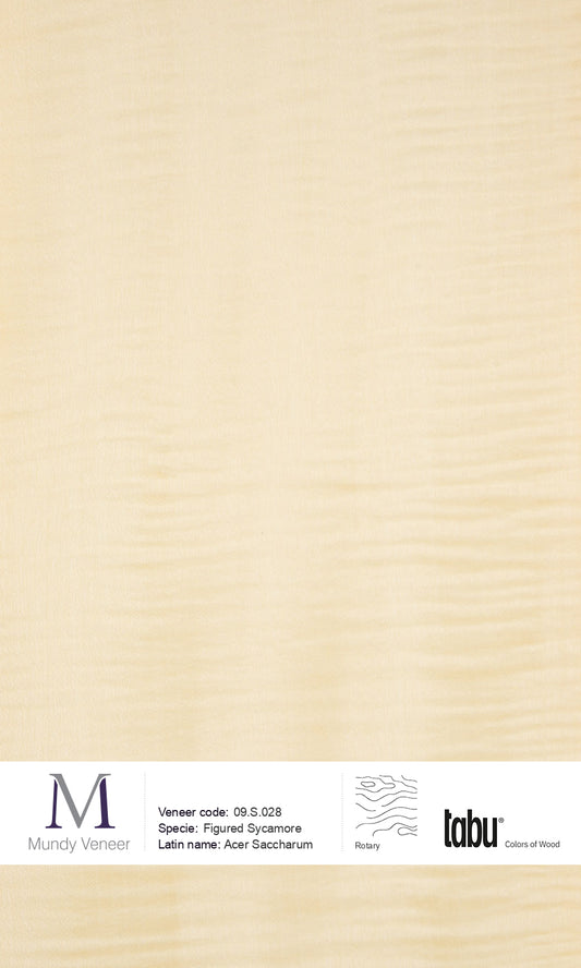 09.S.028, Figured Sycamore