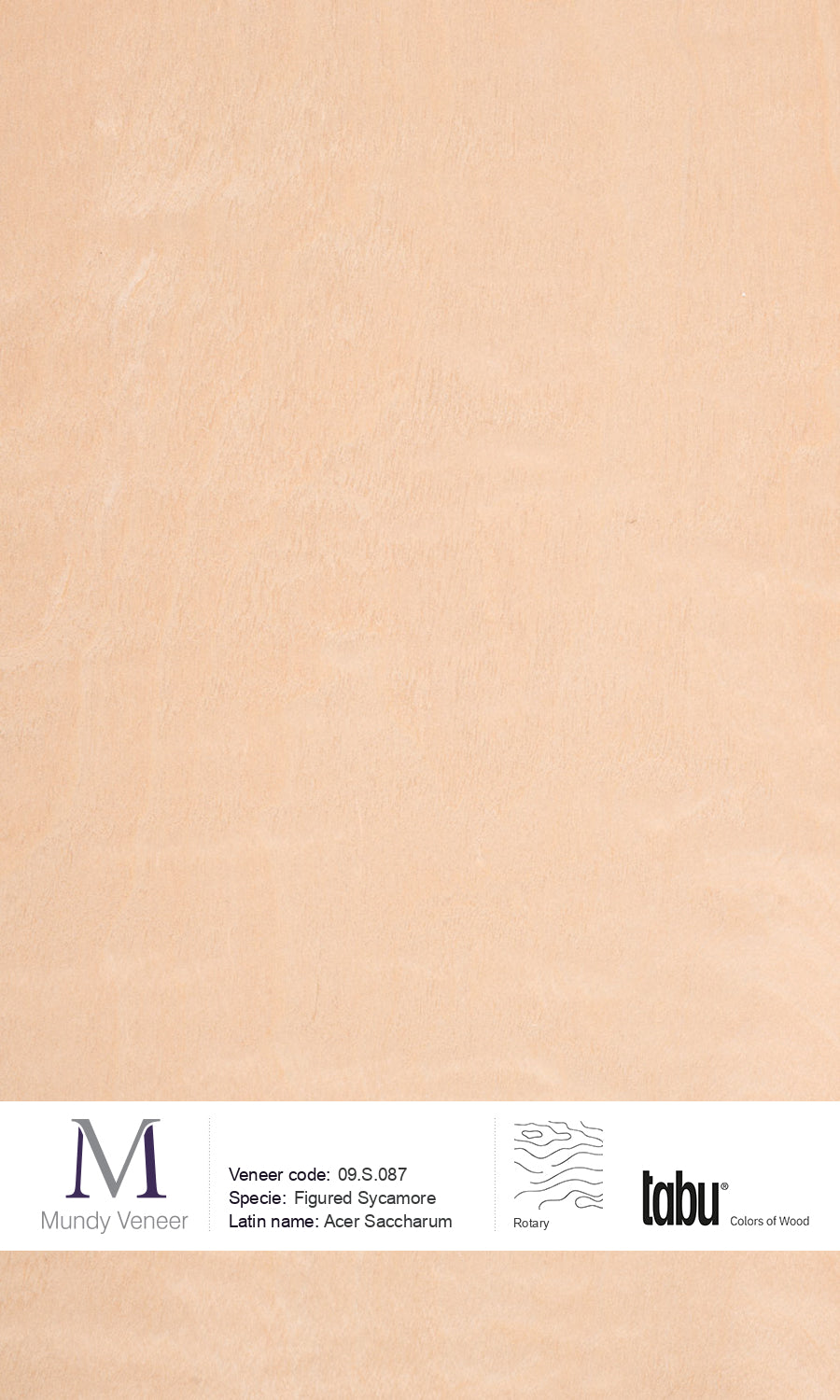 09.S.087, Figured Sycamore