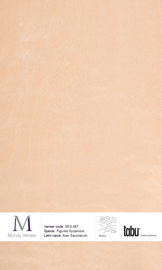09.S.087, Figured Sycamore