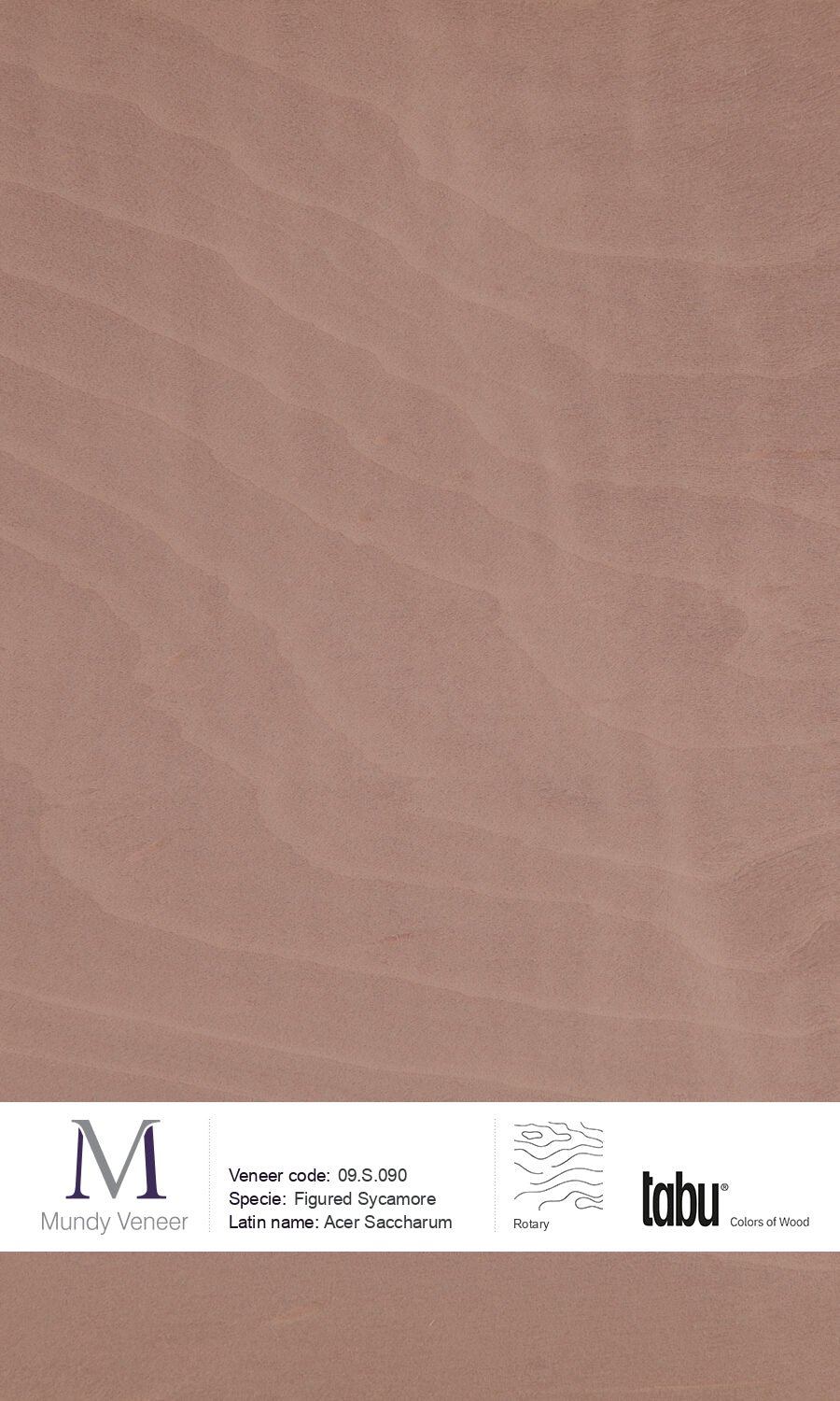 09.S.090, Figured Sycamore