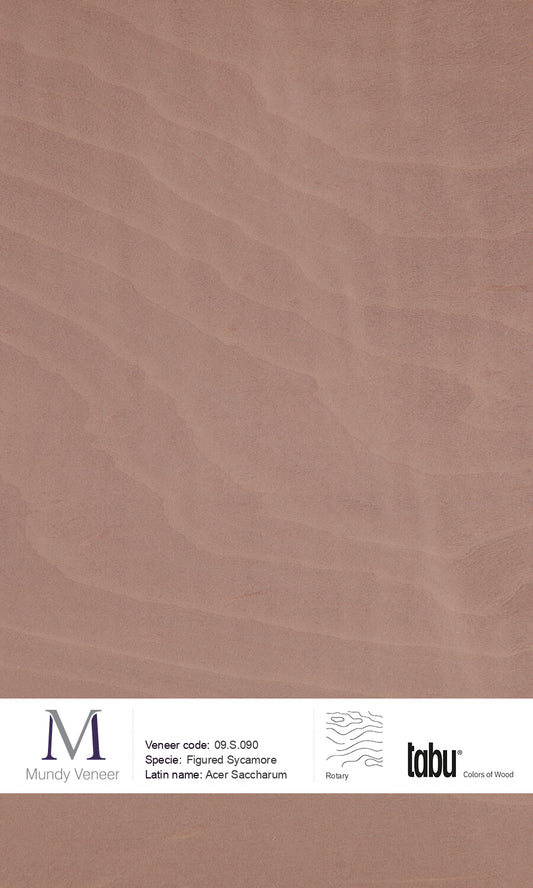 09.S.090, Figured Sycamore