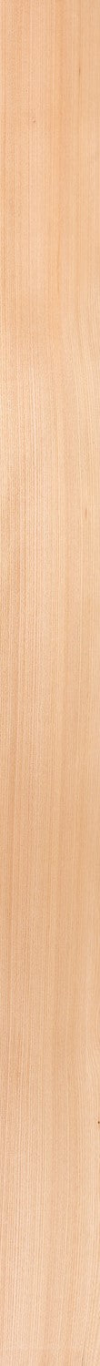 Elm European