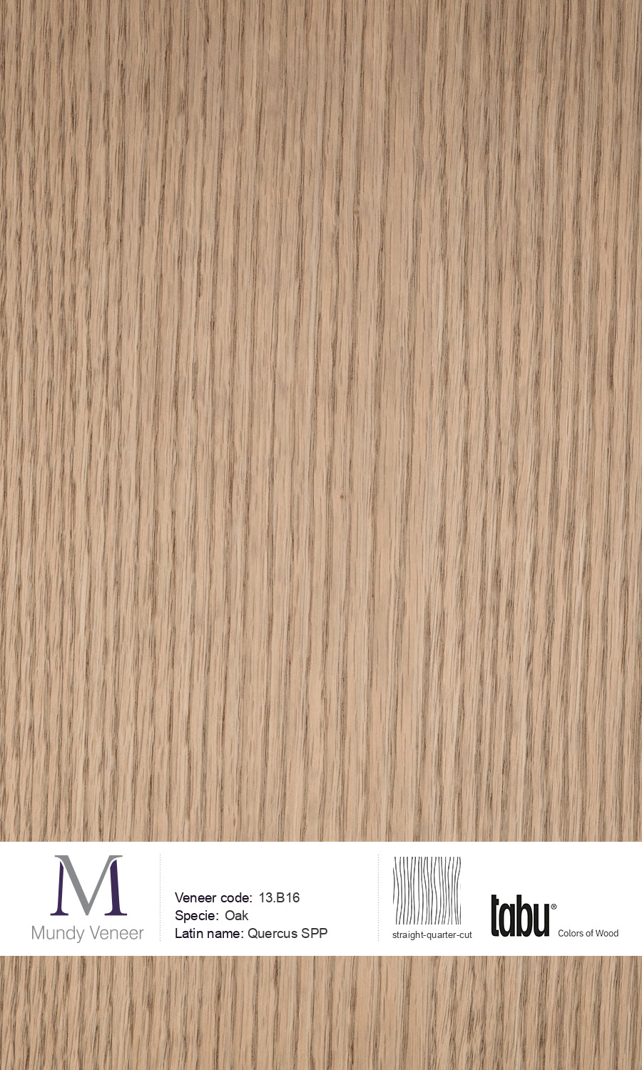 13.B16, Oak