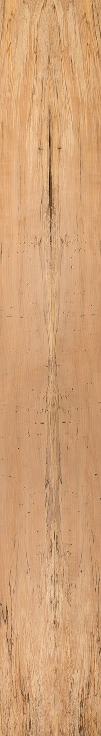 Beech Spalted