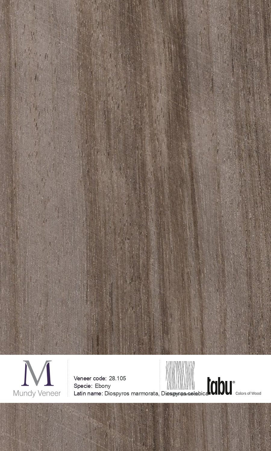 28.105, Ebony