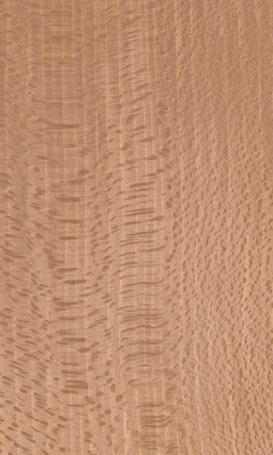 33.N.019, Figured Plane