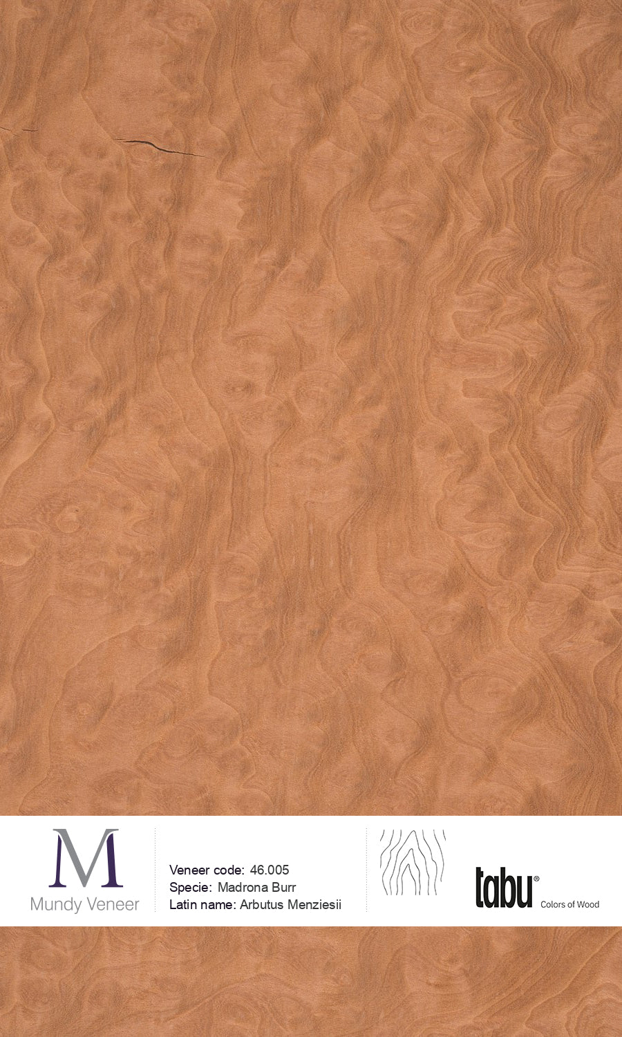 46.005, Madrona Burr