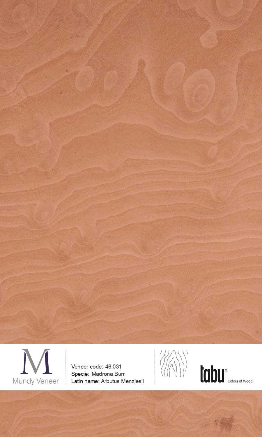 46.031, Madrona Burr