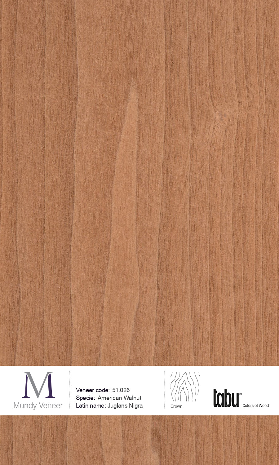 American Walnut- Wood Veneer