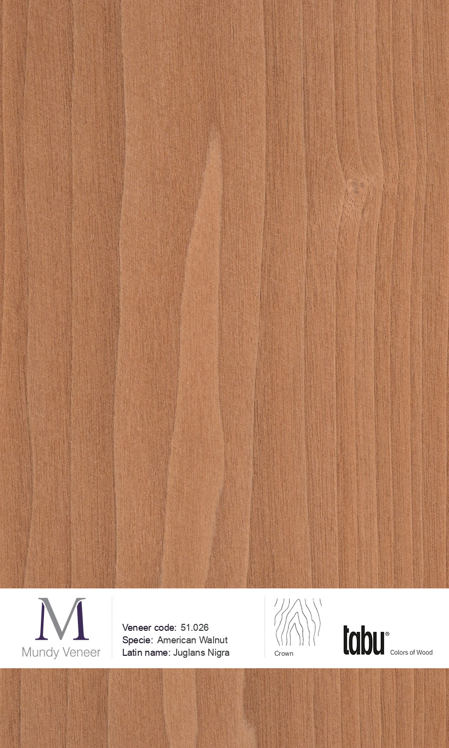 51.026, American Walnut