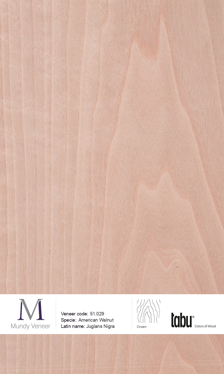 51.029, American Walnut