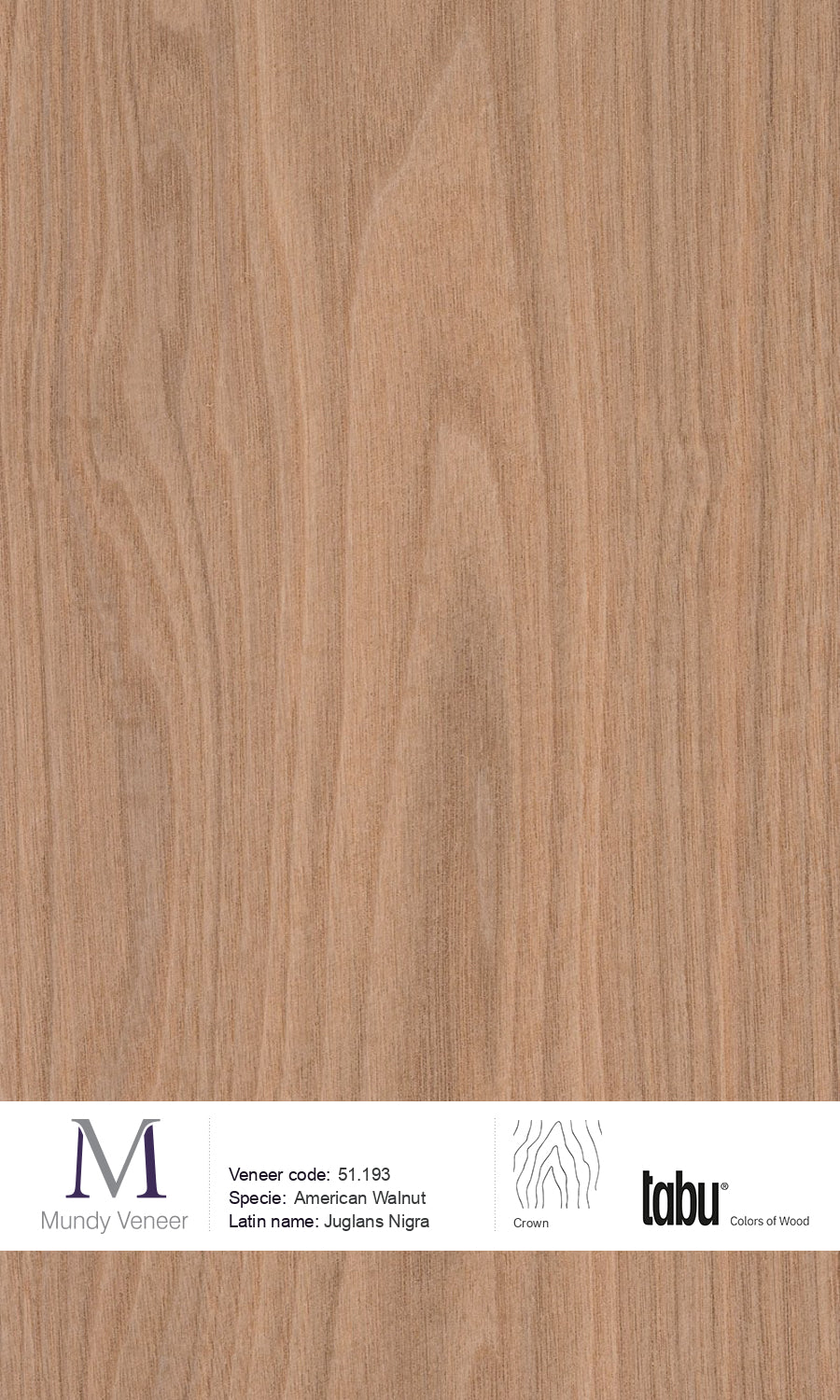 51.193, American Walnut