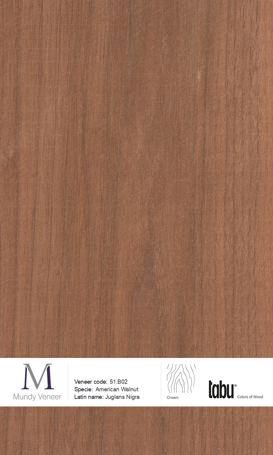 51.B02, American Walnut