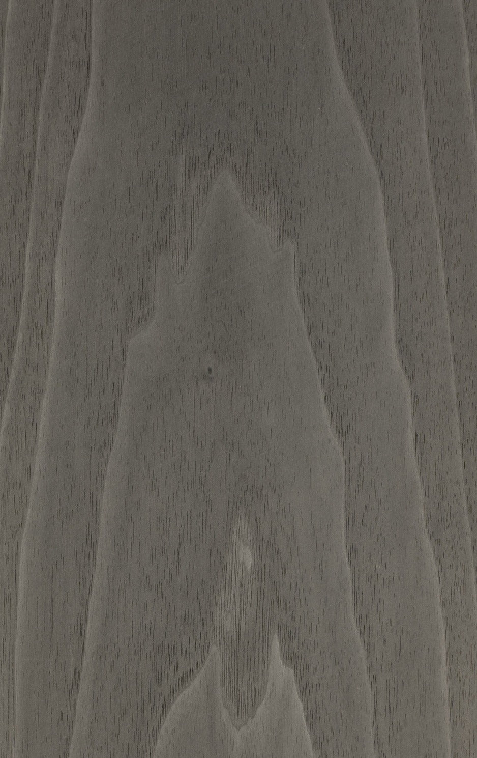 51.055, American Walnut