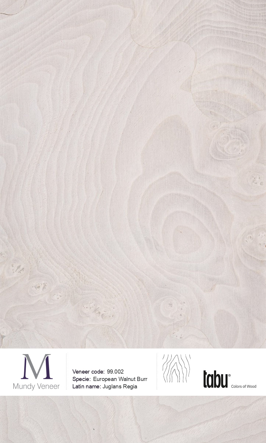 99.002, European Walnut Burr