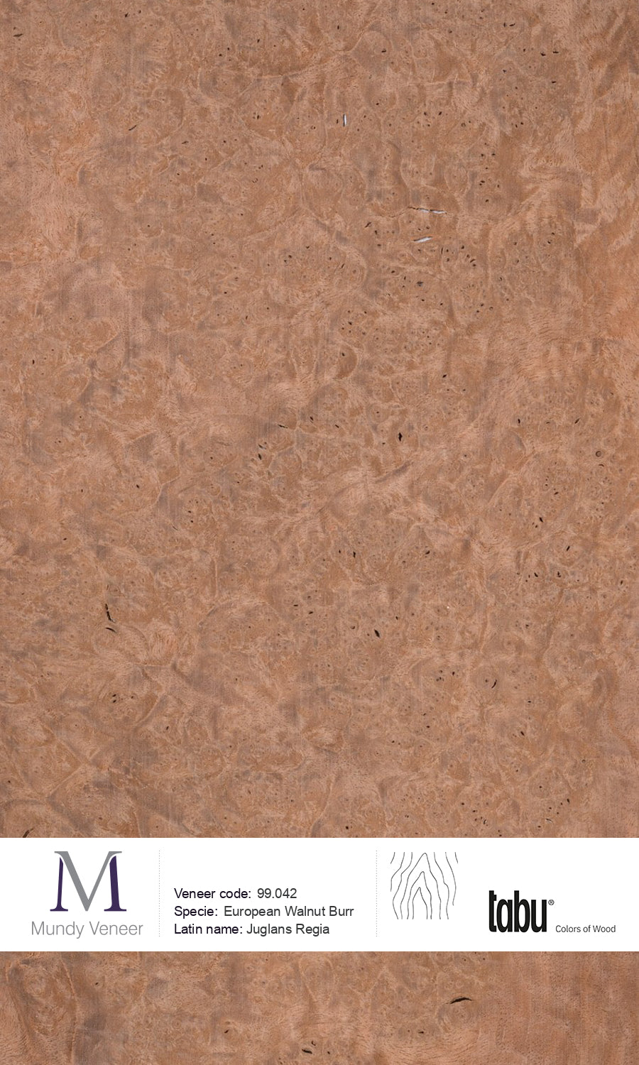 99.042, European Walnut Burr